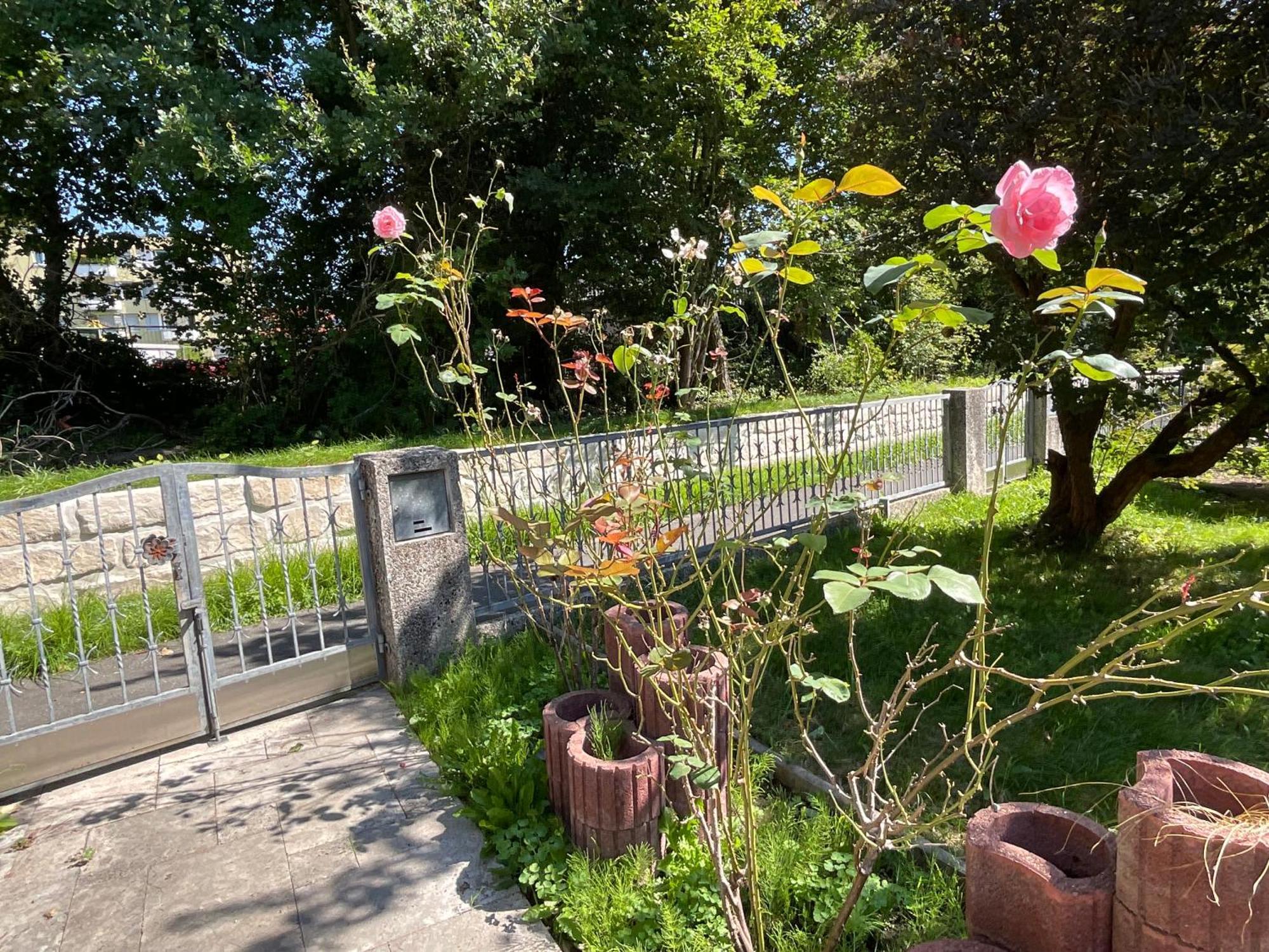 Messe-apartment, 4 Schlafzimmer, 80 Qm, Garten - 6 Km Zur Messe, Verkehrsguenstig, Ruhig, Parkplaetze * Nuremberg